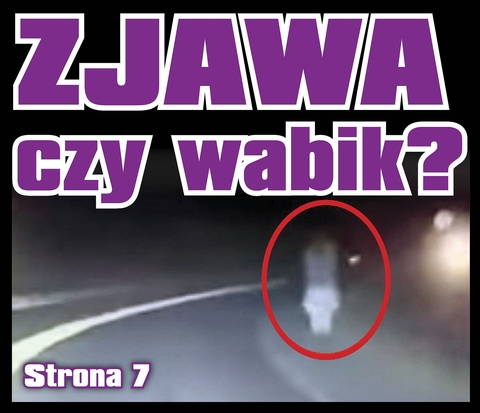 Zjawa czy wabik na kierowców? | Kurier Iławski